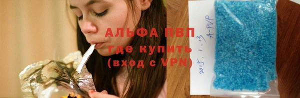 прущие грибы Дмитров