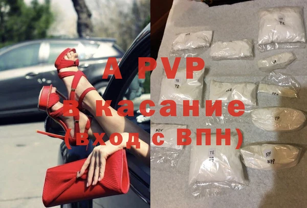 прущие грибы Дмитров