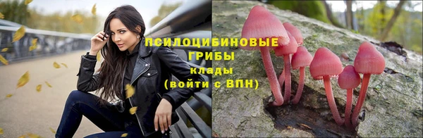 прущие крисы Волосово