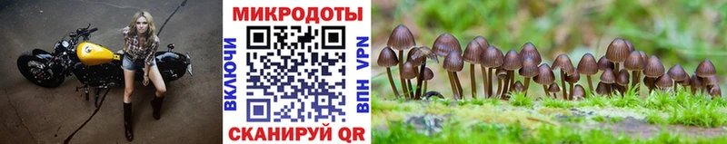 Купить закладки  Кыштым  Галлюциногенные грибы GOLDEN TEACHER 